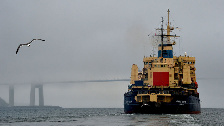 Длина имеет значение: как Россия будет осваивать Северный морской путь