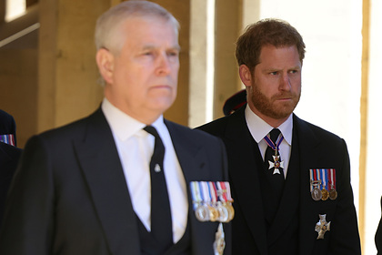 Принцев Гарри и Эндрю оставили без юбилейных медалей королевы