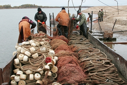 Оценены потери российских рыбопромышленников из-за Китая