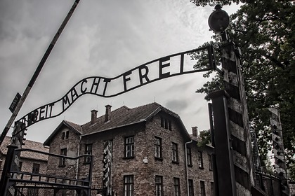 Туристку из Нидерландов оштрафовали за нацистское приветствие у ворот Освенцима