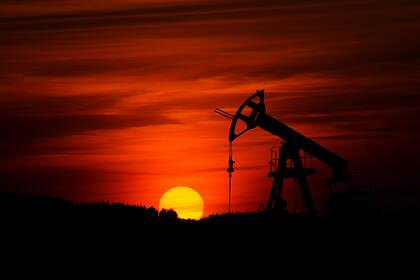 В США оценили объемы закупок российской нефти Китаем и Индией