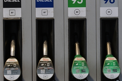Устойчивость цен на бензин в России объяснили