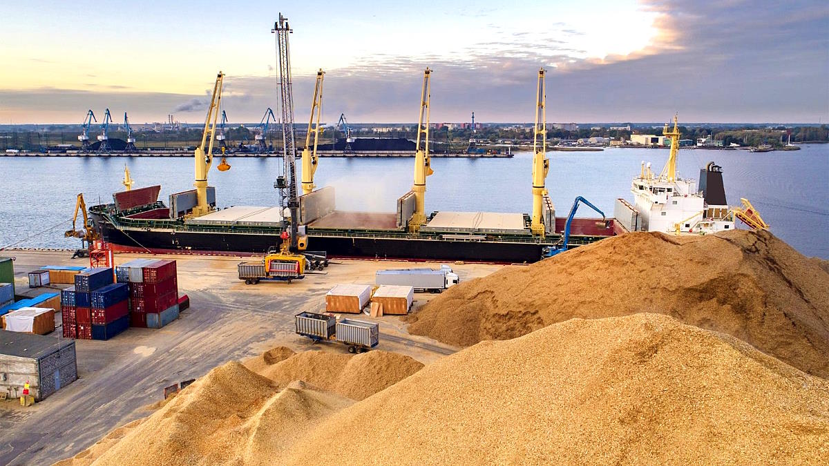 Киев предложил расширить действие "зерновой сделки"на порты Николаева