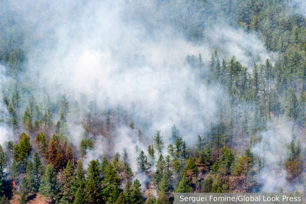 Глава Якутии Николаев рассказал Путину о вызове искусственных дождей для тушения лесных пожаров