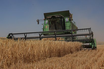 Украина отказалась уступать России ради сохранения зерновой сделки