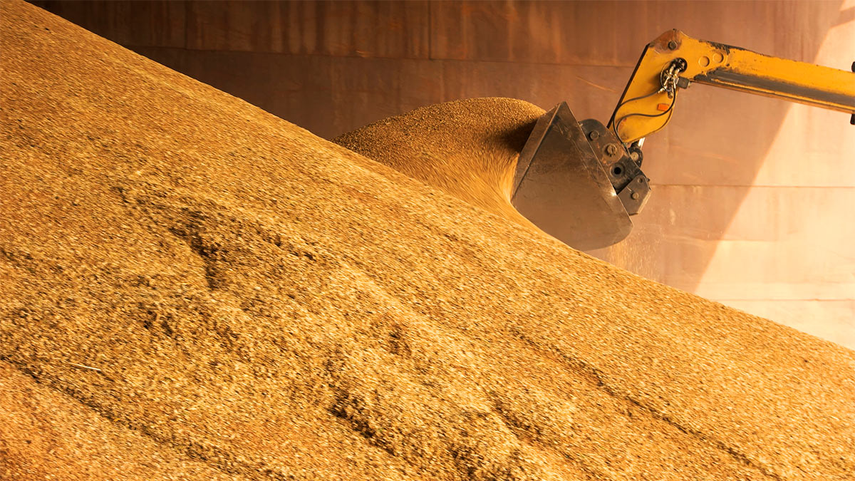 Киев предложил новый маршрут для вывоза зерна