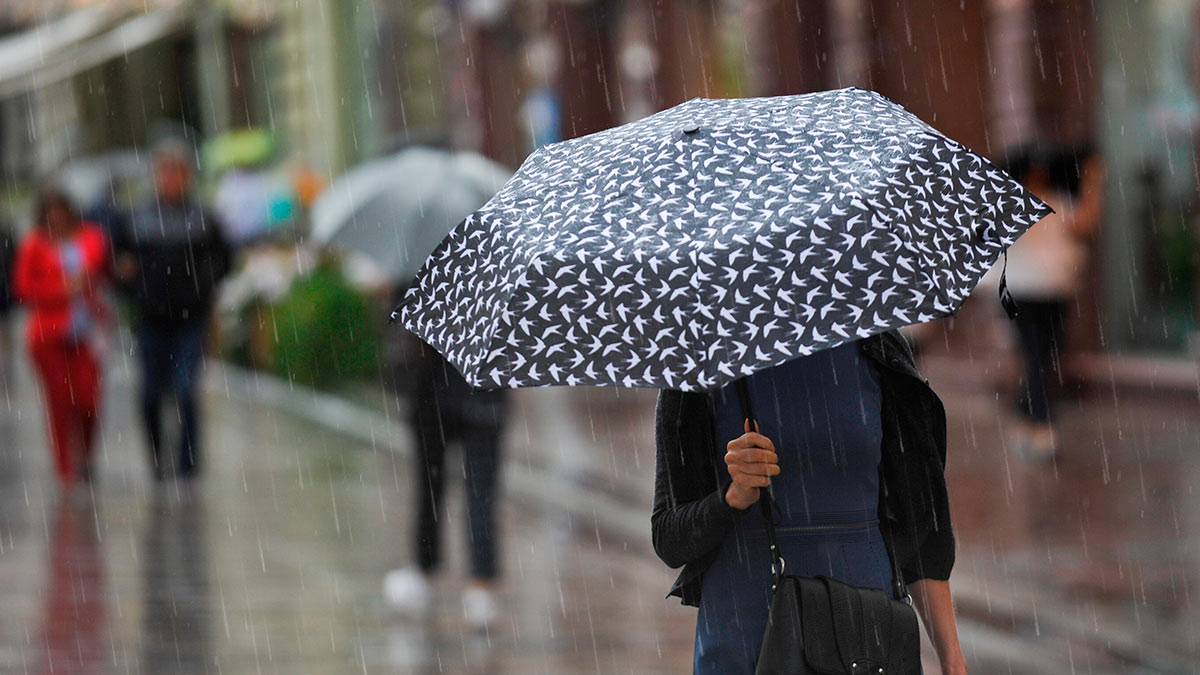 Метеоролог предупредил москвичей о ливневых дождях, граде и грозовом вале