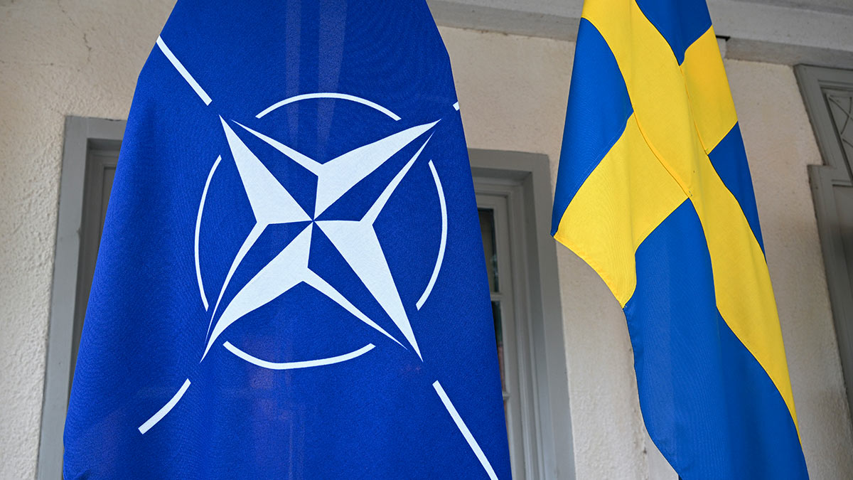 В Швеции предложили разместить базы НАТО