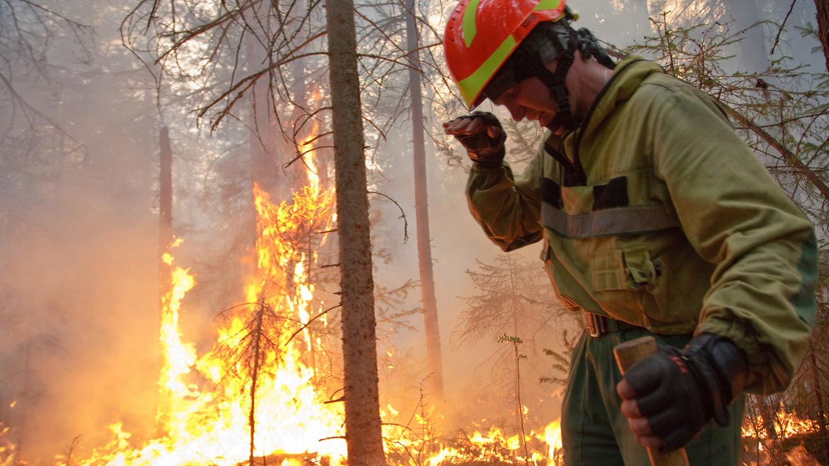 В России за сутки потушили 19 лесных пожаров