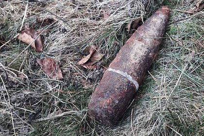 Россиянин пошел за грибами и нашел взрывоопасный снаряд