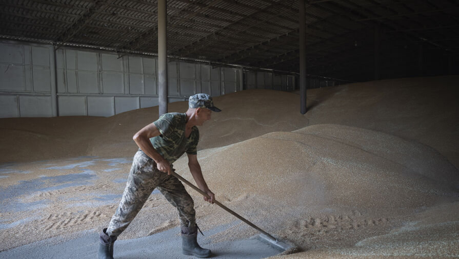 ЕС отменил эмбарго на украинское зерно. Соседи Украины все равно отказались его ввозить