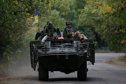 Названы главные проблемы тактики НАТО в украинском конфликте