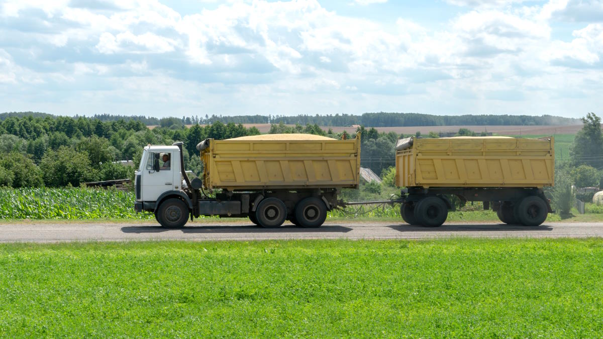 На Украине подсчитали потери от продления запрета на экспорт зерна в Европу