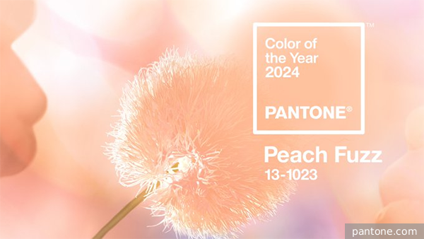   Pantone    Peach Fuzz  2024 