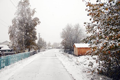 В российских регионах выпал первый снег