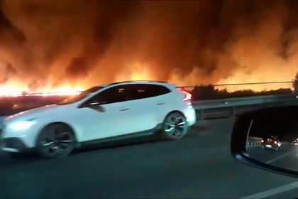 Крупные природные пожары в российском регионе попали на видео