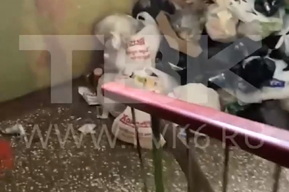 Жители российского города завалили подъезд мусором