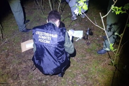 Пропавшую 12-летнюю россиянку обнаружили мертвой в лесополосе