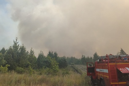 В российском городе ввели режим ЧС из-за природного пожара