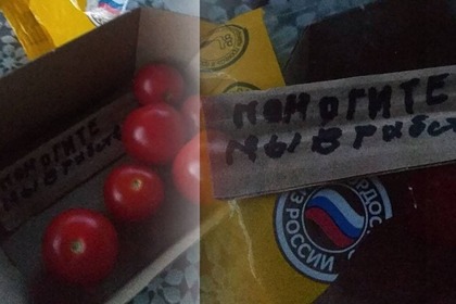 Россиянка обнаружила записку с просьбой спасти из рабства в упаковке помидоров