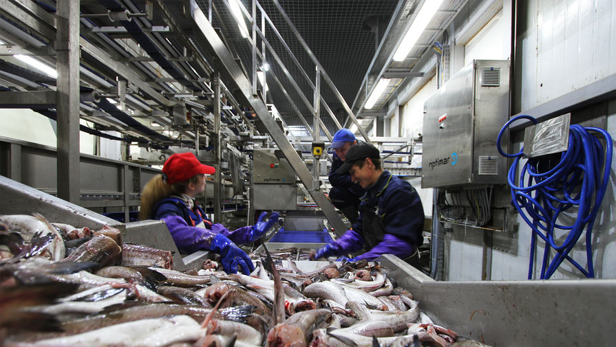 "Холодильники забиты минтаем": как действия Китая снижают цены на рыбу в Москве