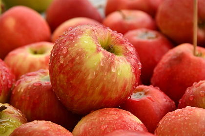 Диетолог предупредила об опасности яблок при похудении