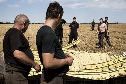       MH17   
