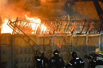 Следователи назвали причину пожара на цветочном складе в Москве