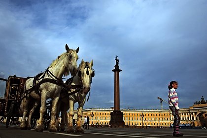 СК начал проверку после наезда лошадей на людей на Дворцовой площади