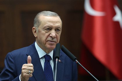 Эрдоган обвинил торговцев оружием в обогащении на украинском конфликте