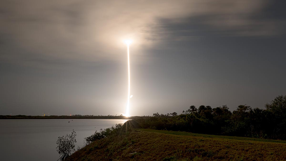 SpaceX  -    55   Starlink