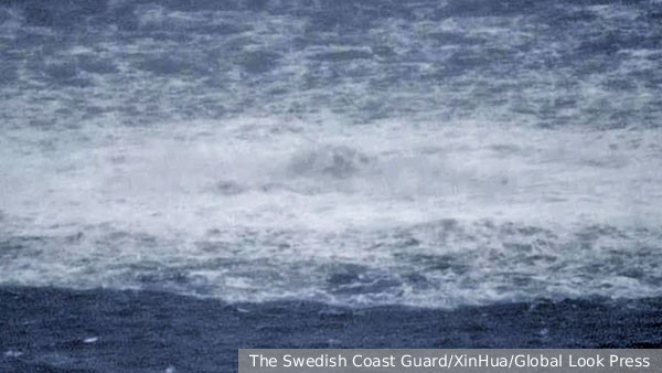Global Times:        ,     