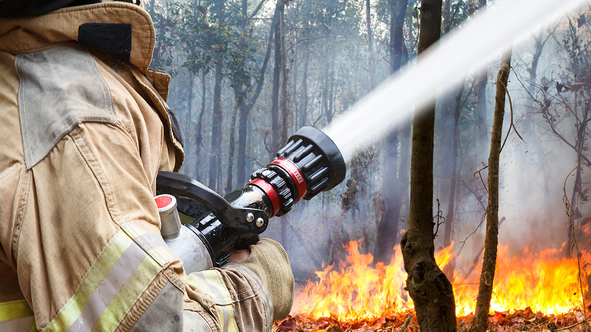 В России за сутки потушили 96 природных пожаров