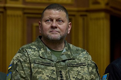 На Украине заявили о продолжении исполнения Залужным обязанностей главкома ВСУ