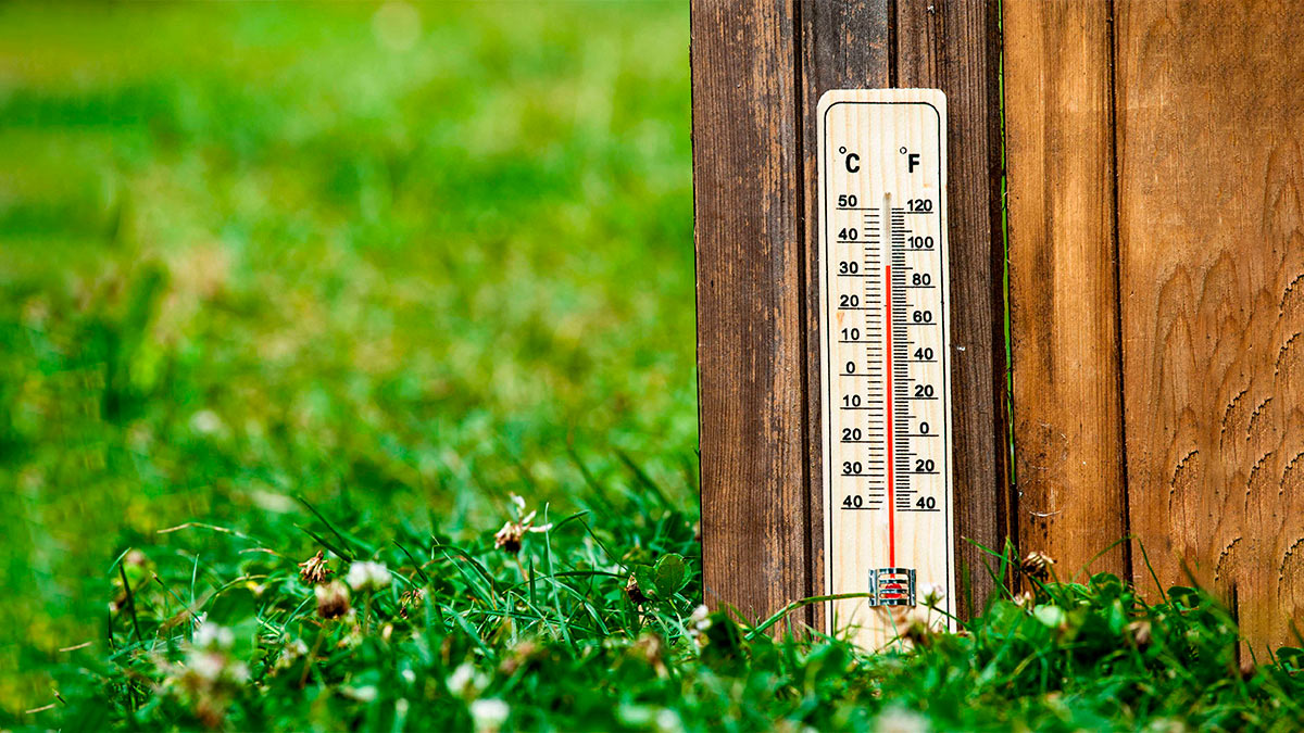Не меньше 25 новых суточных рекордов тепла установлены в России 5 июня