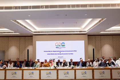  G20     