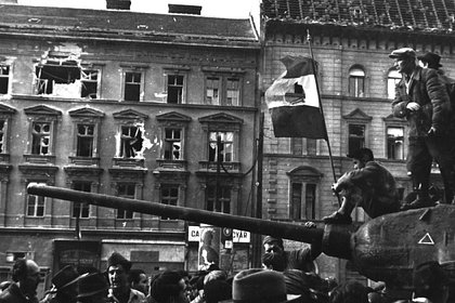            1956 