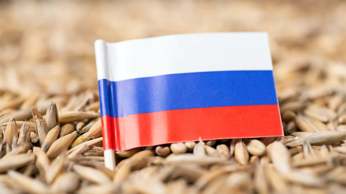 Египетские власти опровергли сообщения об отказе от импорта российской пшеницы