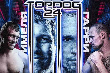     TOP DOG 24