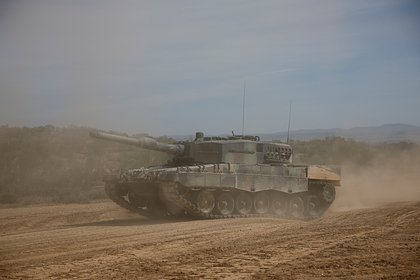     Leopard  
