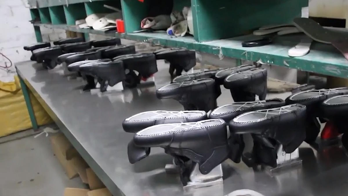 :  -    -   Puma