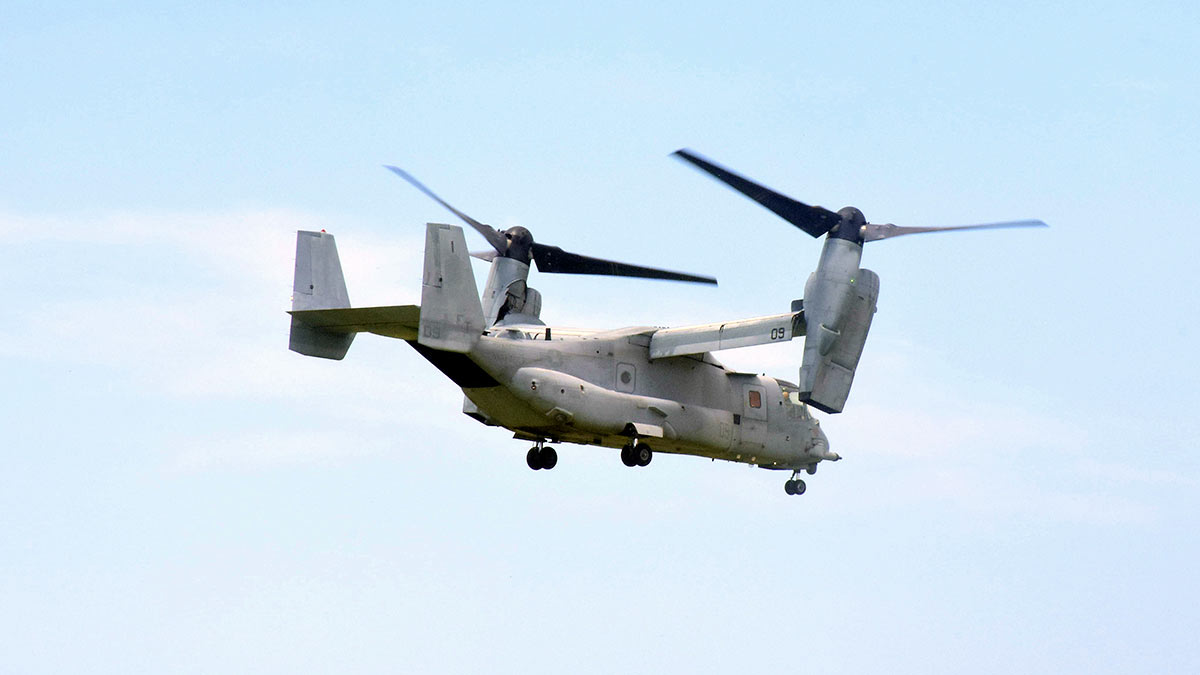     Osprey  