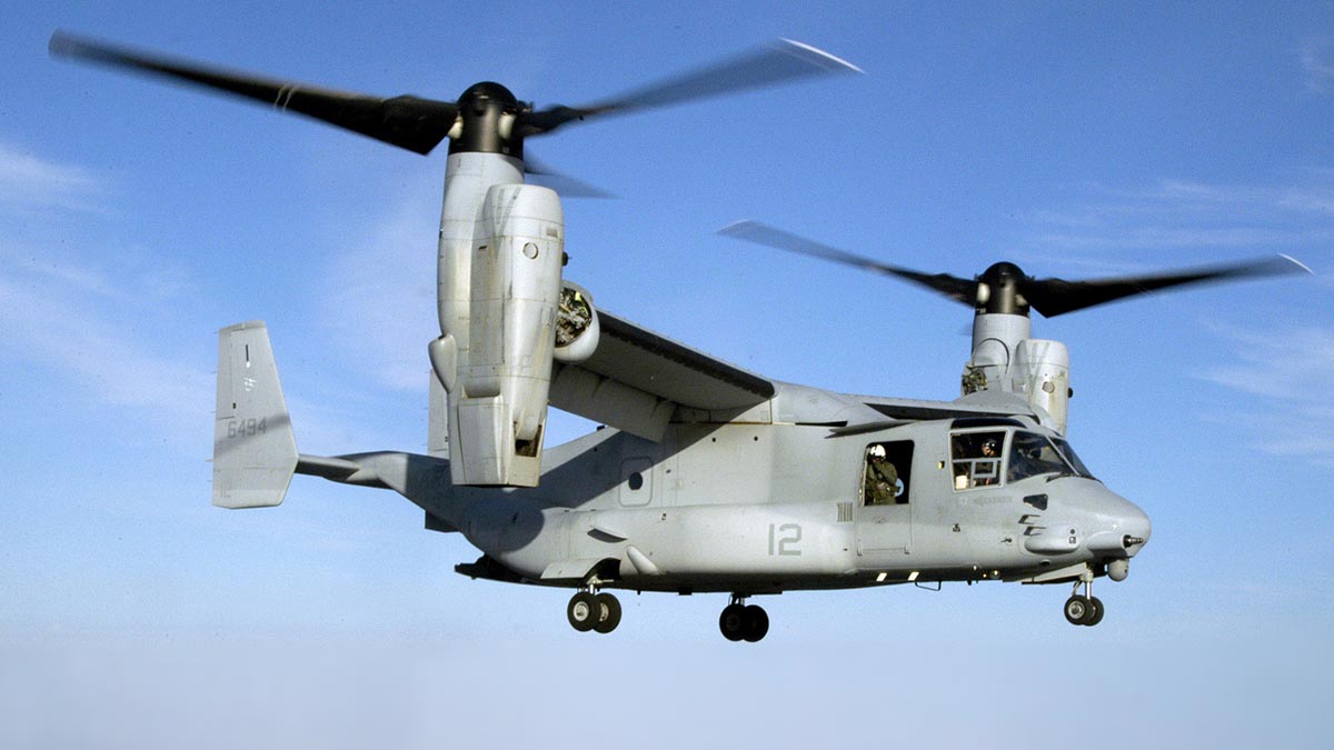      Osprey  
