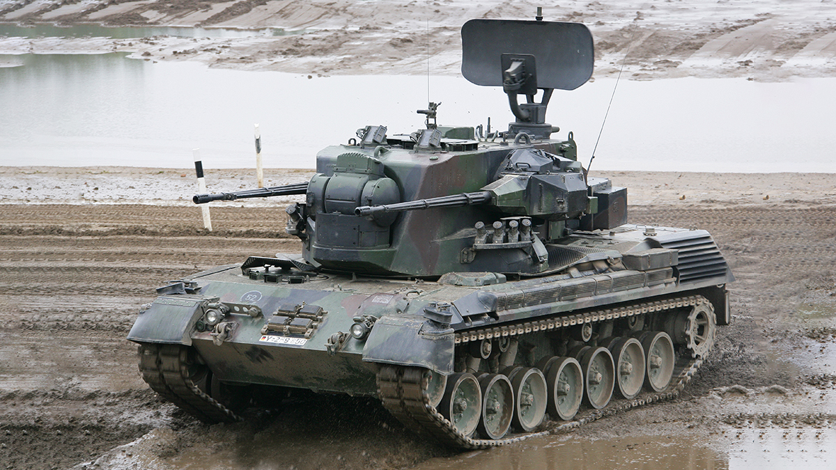      10  Vector  3  Gepard