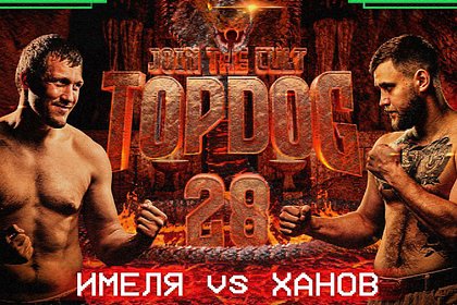         TOP DOG 28