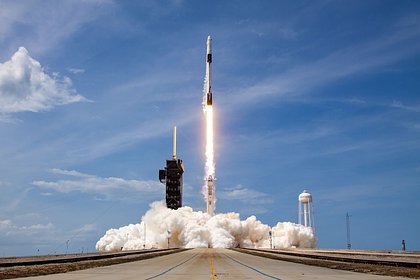Starlink      
