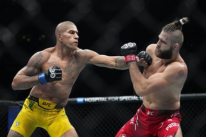         UFC 303