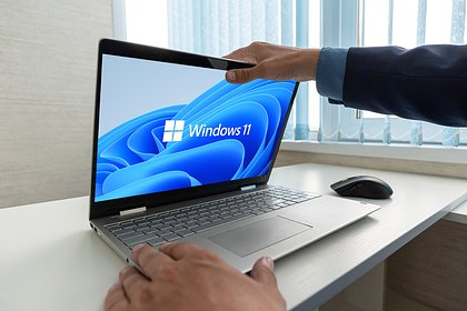 Windows 11      